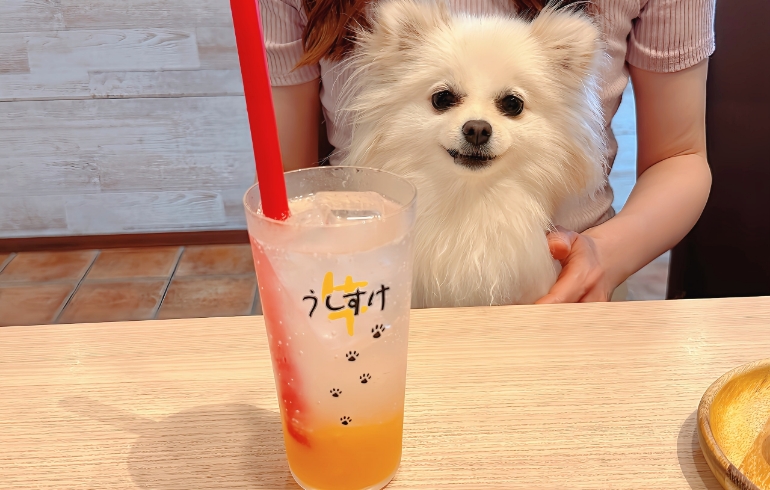 ドリンク