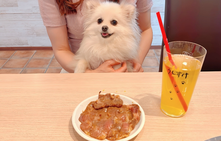 ワンちゃん用牛タン（焼き後）