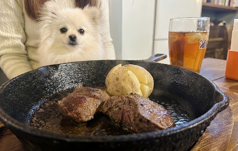 エゾシカ（ジビエ）料理とゆめちゃん
