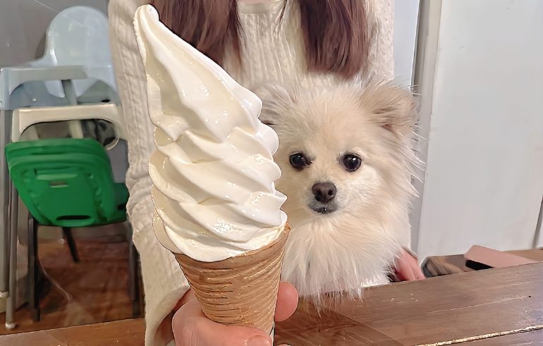 ソフトクリームとゆめちゃん