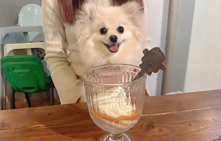 エスプレッソソフトクリームとゆめちゃん