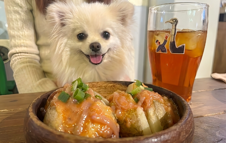 塩辛じゃがバターとゆめちゃん