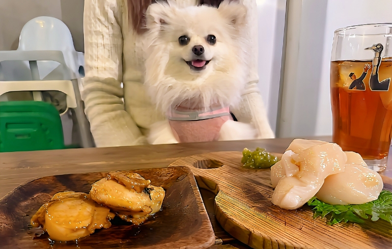ホタテ料理とゆめちゃん