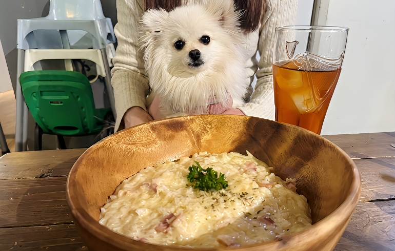 濃厚チーズリゾットとゆめちゃん