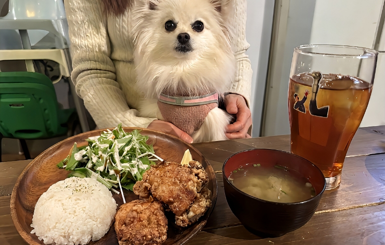 ザンギ定食とゆめちゃん