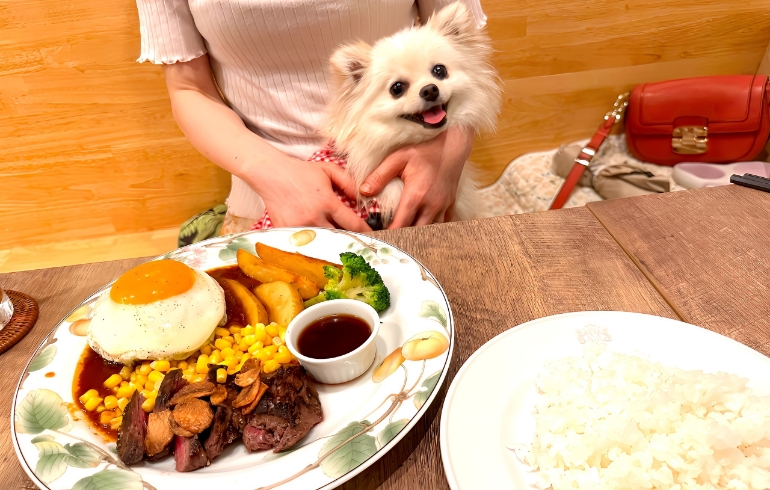 ママの手作りハンバーグセット