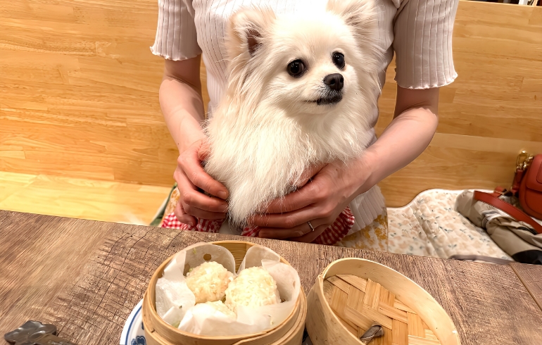 わんちゃんのごはん1