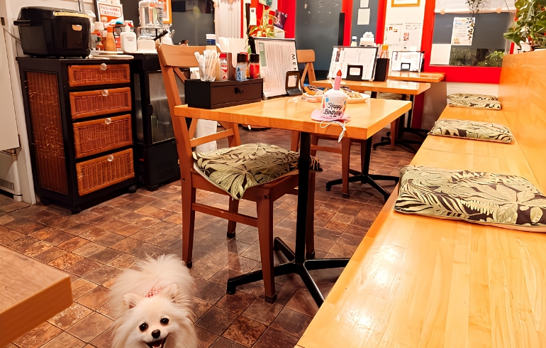 店内1