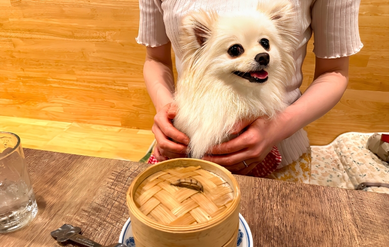 わんちゃんのごはん3