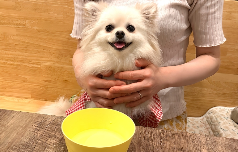 わんちゃんのお水