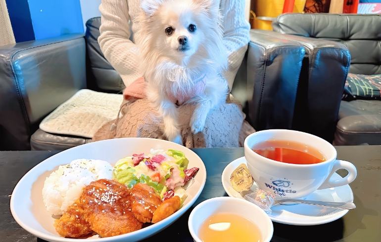ゆめちゃんとミックスフライ