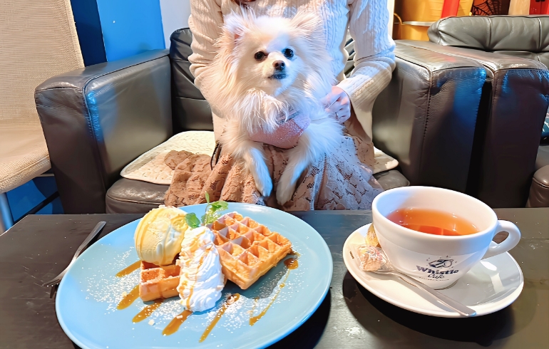 ゆめちゃんとピスタチオワッフル