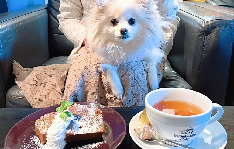 ゆめちゃんとチョコレートパウンド