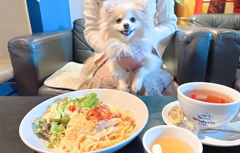 パスタ