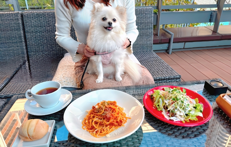 パン、パスタ、サラダ