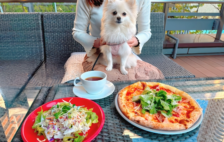 ピザとサラダ