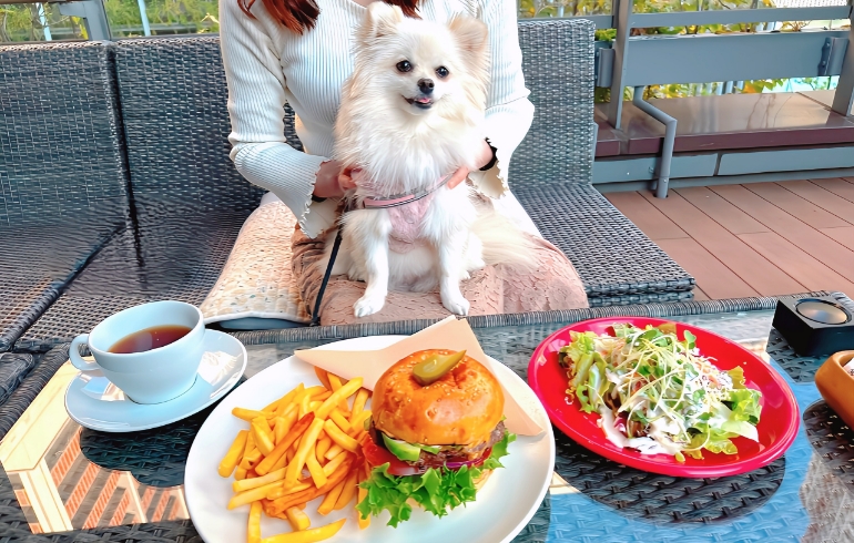 ハンバーガーセット