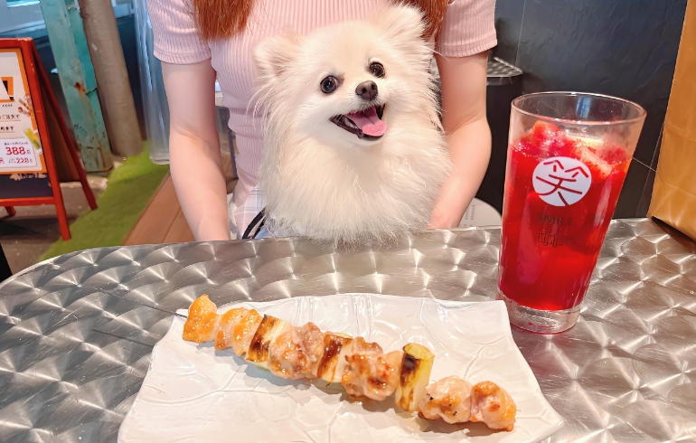 大山どりづくし串