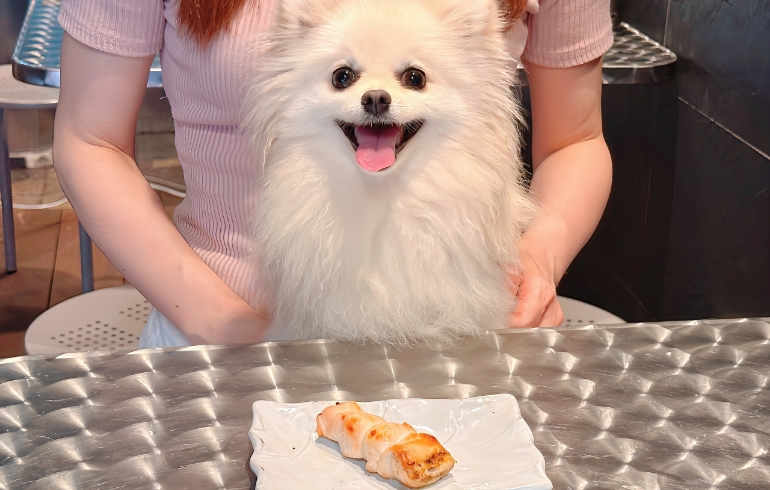 ワンちゃん用自慢の串焼き（大山どりのささみ）