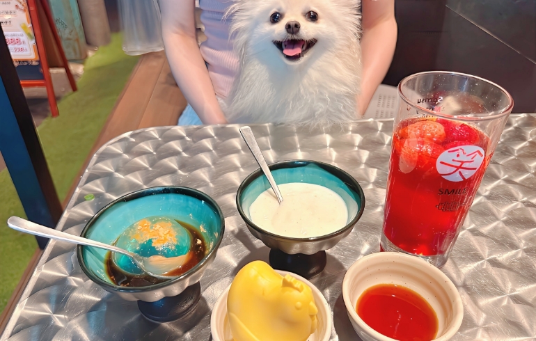 コッコちゃんのすみれプリンやぷるるんわらび餅などのデザート各種