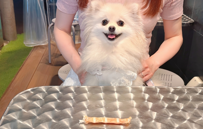 ワンちゃんのおやつサービス