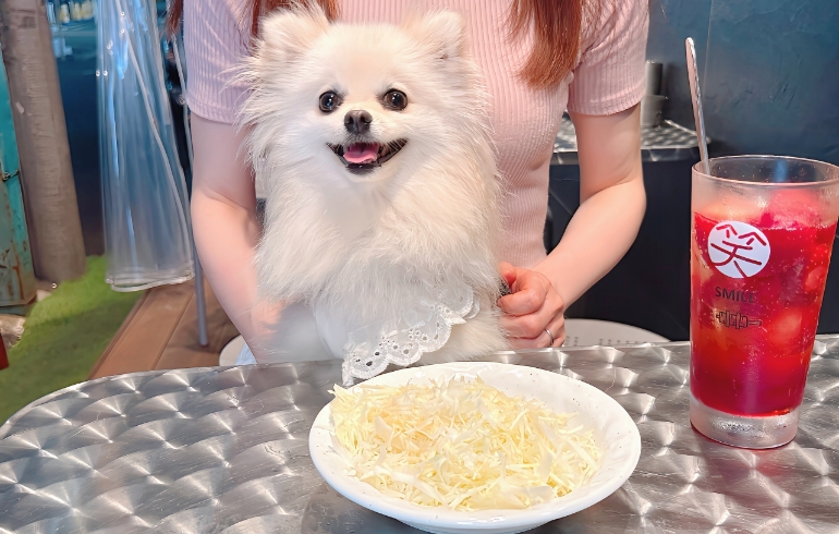 塩ダレキャベツ