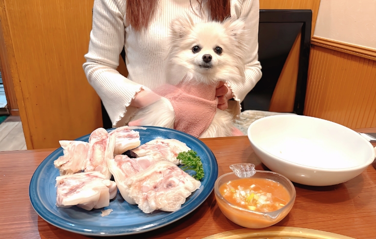 豚足とゆめちゃん
