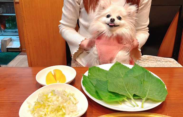 サンチュ、大葉、ネギ、ニンニク