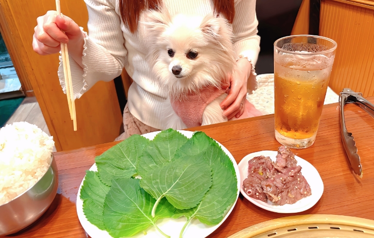 大葉、ハラミ