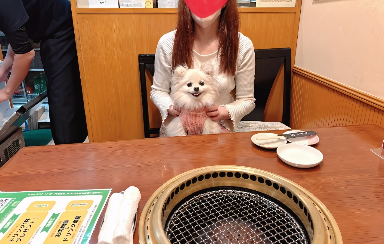 店内
