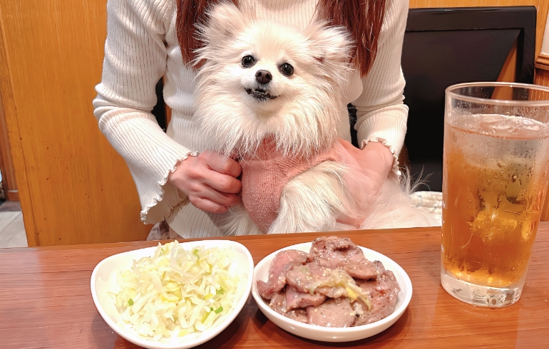 ネギ、牛タン