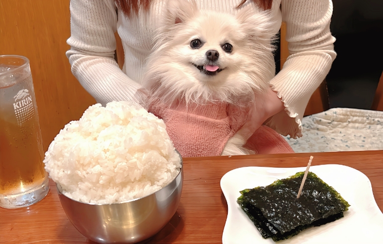 ライスとのり