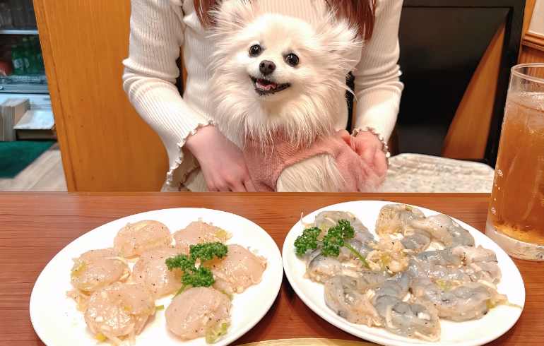 海鮮とゆめちゃん