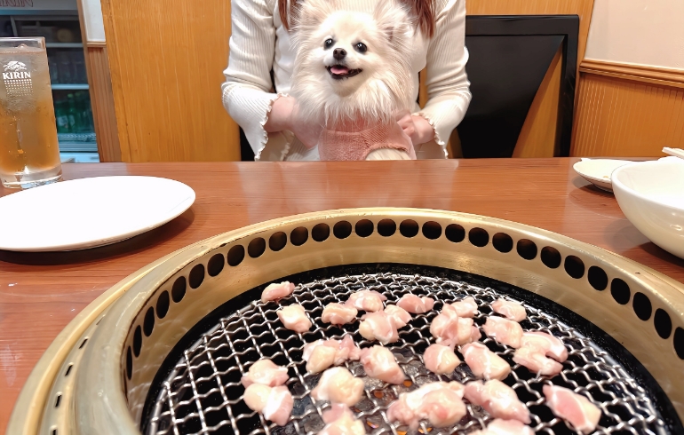 軟骨（焼き中）とゆめちゃん
