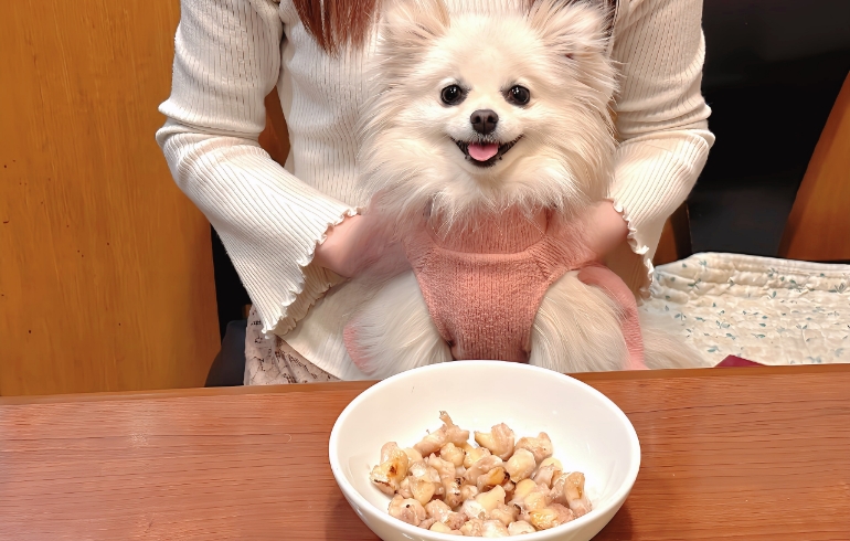 軟骨焼きとゆめちゃん