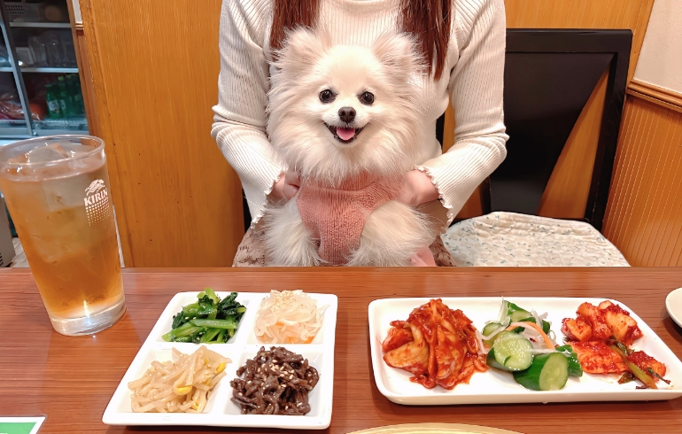 前菜盛り合わせ