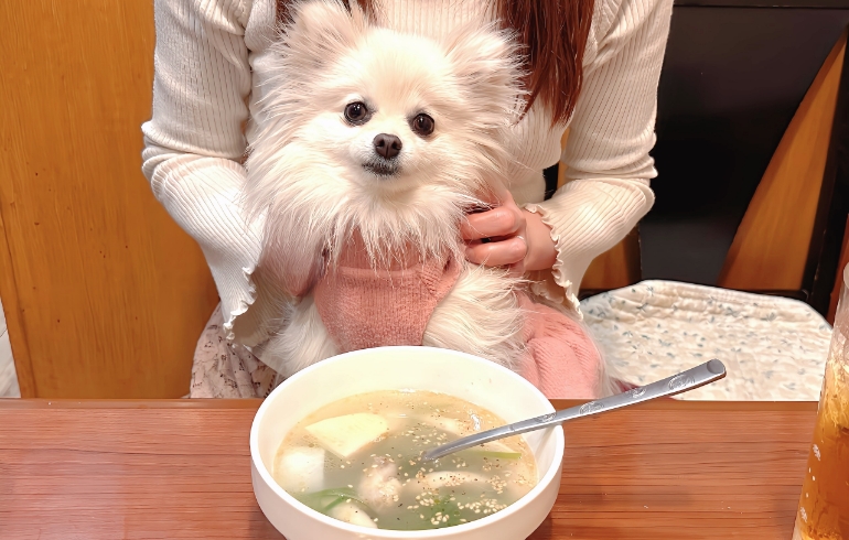 コムタンスープ
