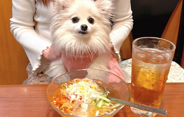 冷麺