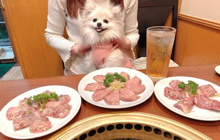 お肉三種