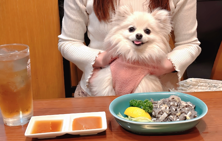 センマイ刺しとゆめちゃん