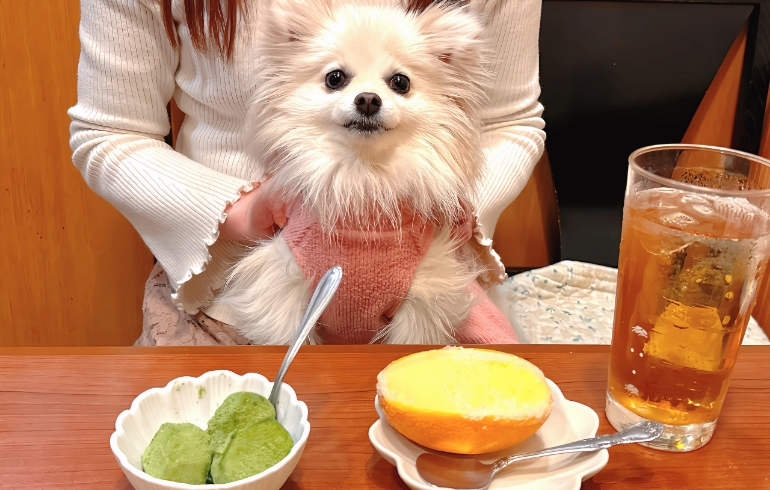 デザートとゆめちゃん
