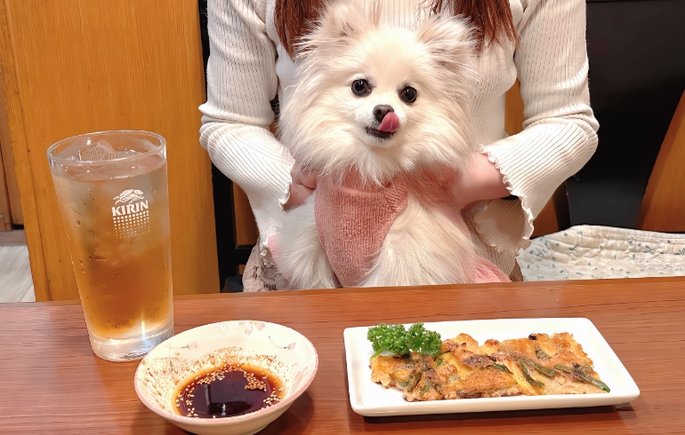 チヂミとゆめちゃん
