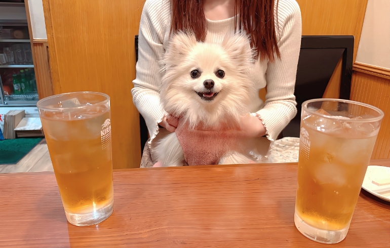ドリンクとゆめちゃん
