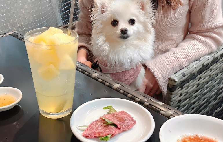 マルカワ（香りの良い大葉包み）とゆめちゃん