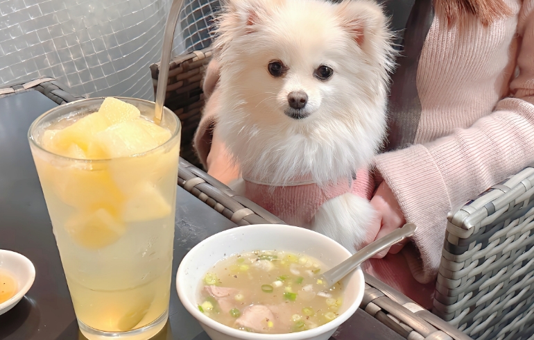 茹でタンスープとゆめちゃん