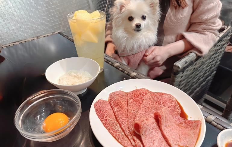 「みすじ」「サーロイン」「しんしん」とゆめちゃん
