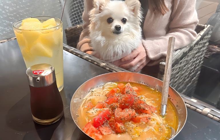 トマト冷麺とゆめちゃん