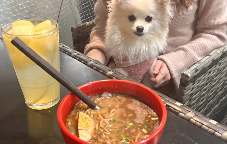 牛骨黒ラーメンとゆめちゃん