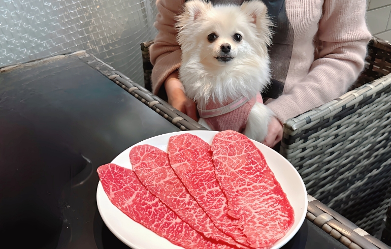ワンちゃん用に味付けなしで提供いただいたお肉とゆめちゃん