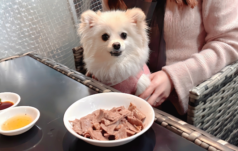 ワンちゃん用に味付けなしで提供いただいたお肉（焼いてカットした後）とゆめちゃん